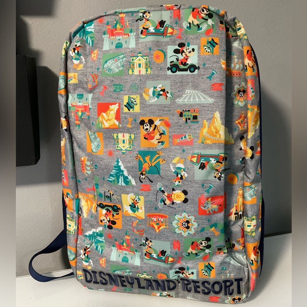 Like new Disneyland tech backpack